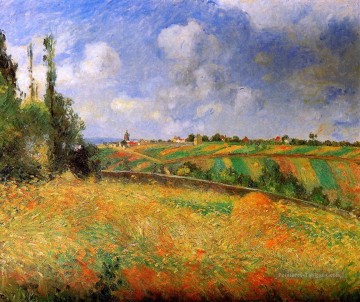 champs 1877 Camille Pissarro paysage Peinture à l'huile